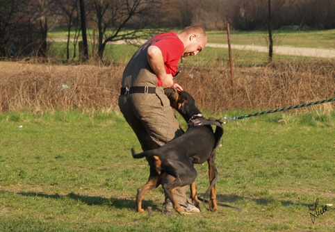 Training 26. 3. 2007